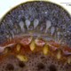 La boca de una cecilia anillada, Siphonops annulatus, que revela sus glándulas dentales en forma de serpiente.